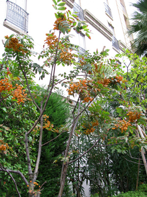 d0084750_2365468.jpg
