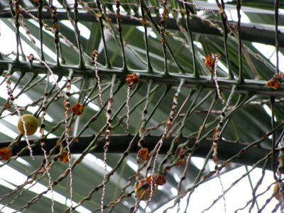 d0084750_2391826.jpg
