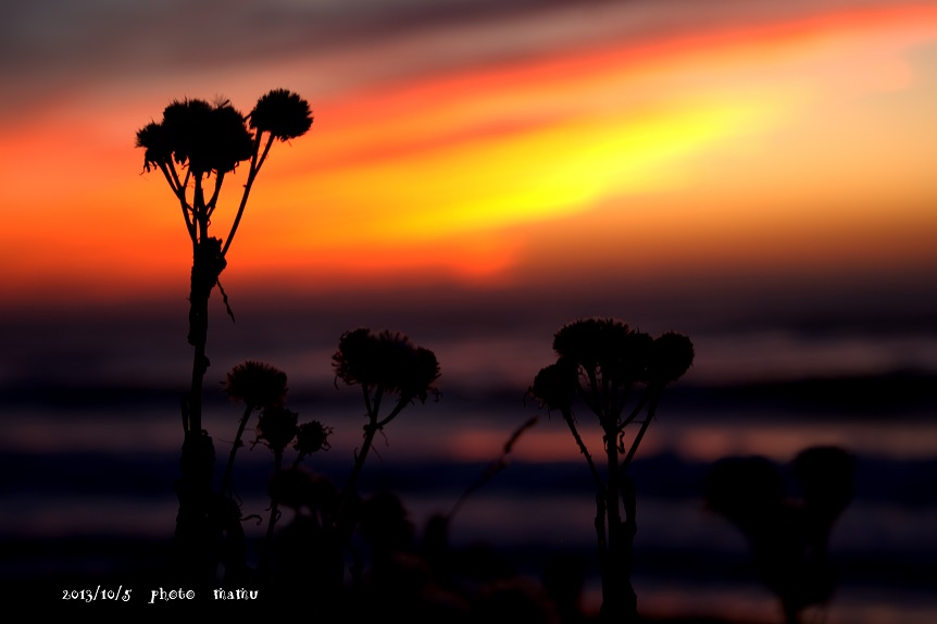 いつもの場所で夕陽_e0200350_196462.jpg