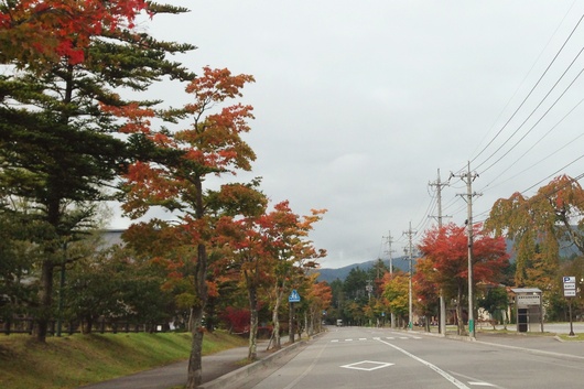 b0181457_1195873.jpg