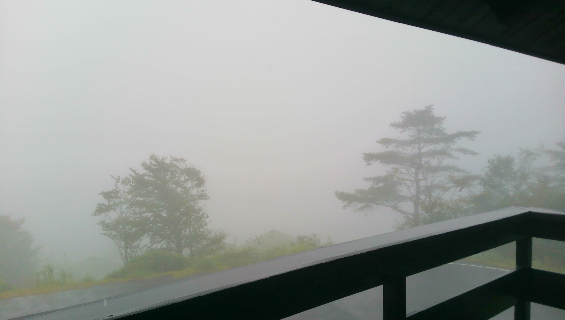 c0133458_21175962.jpg