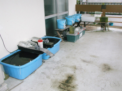 c0180460_29014.jpg