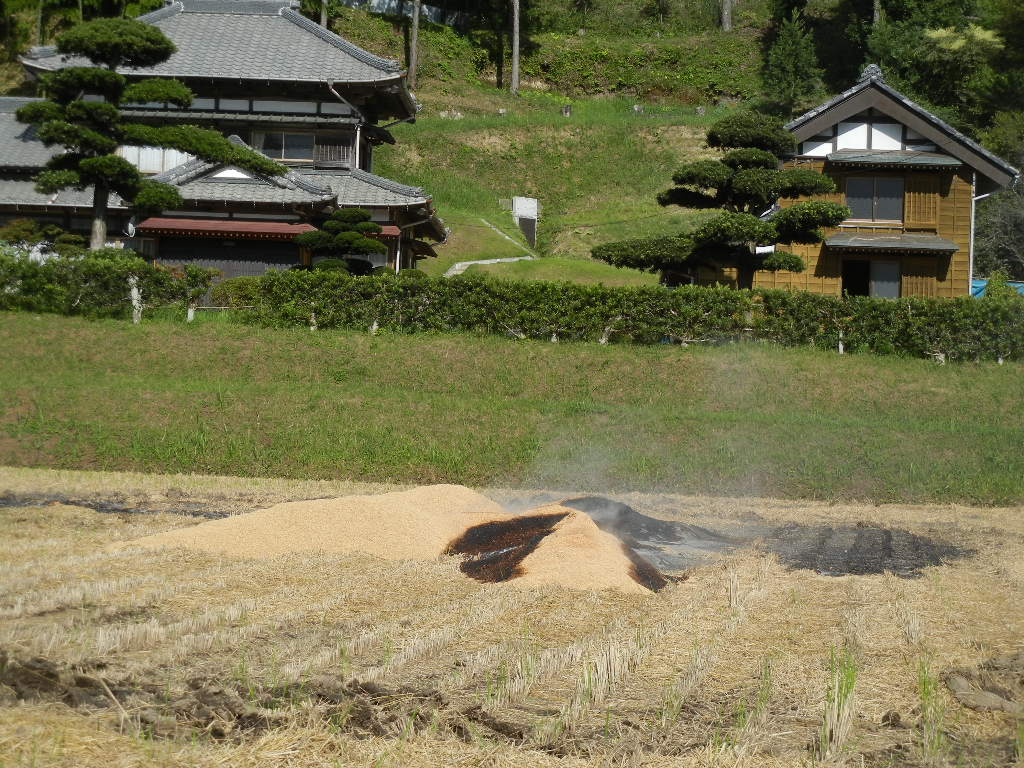 ’13,10,5(土)蜂蜜ショウガを作ったよ!_f0060461_14401828.jpg