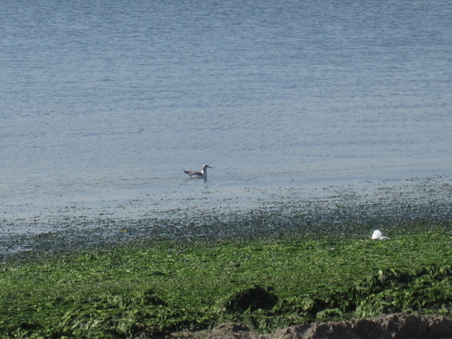 c0298565_8221489.jpg