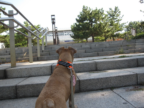 c0298565_8275318.jpg