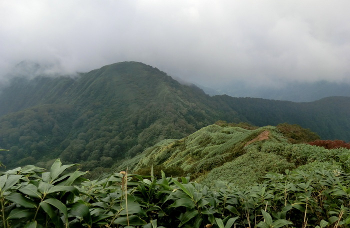 b0185573_1136024.jpg