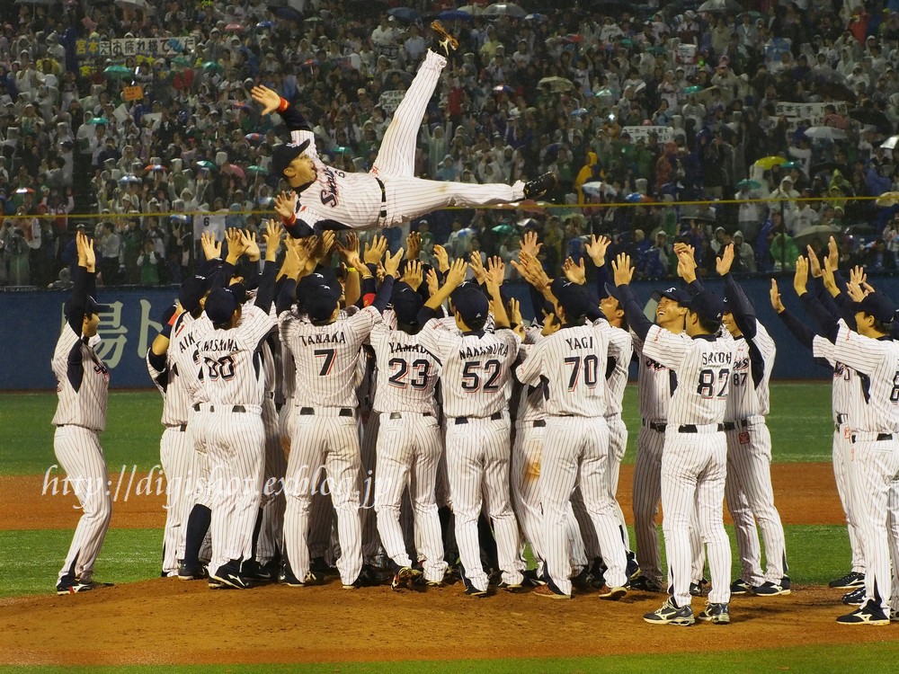 10/4宮本慎也選手引退試合観戦、引退セレモニーフォト1、胴上げ他_e0222575_2382283.jpg