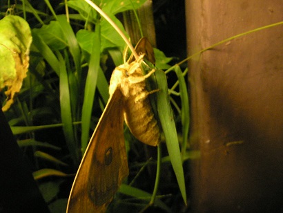 b0192980_148920.jpg