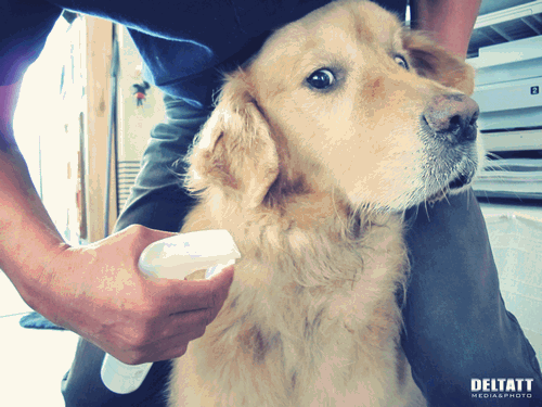 b0146688_161791.gif