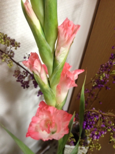 ナチュナルクラシカル_f0204295_1023493.jpg