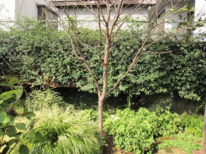 c0117898_18444946.jpg
