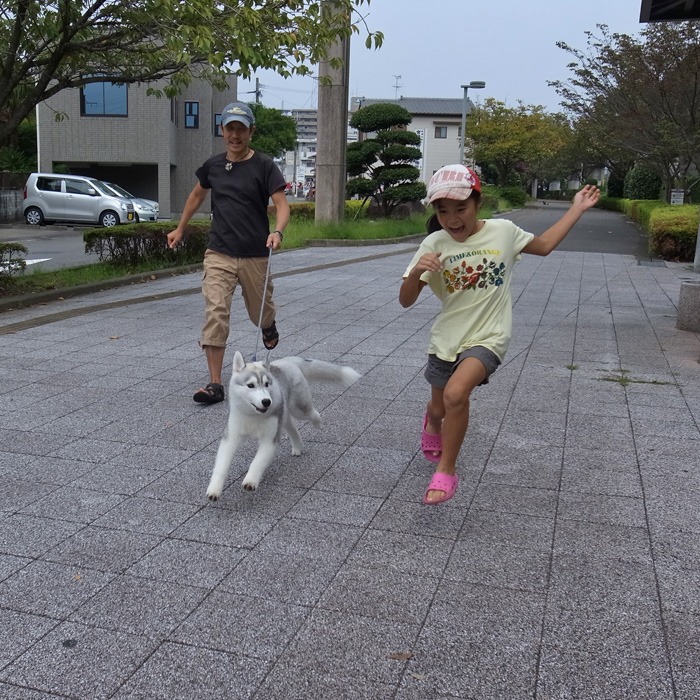 子犬　ご近所さんぽ_c0049299_20103162.jpg