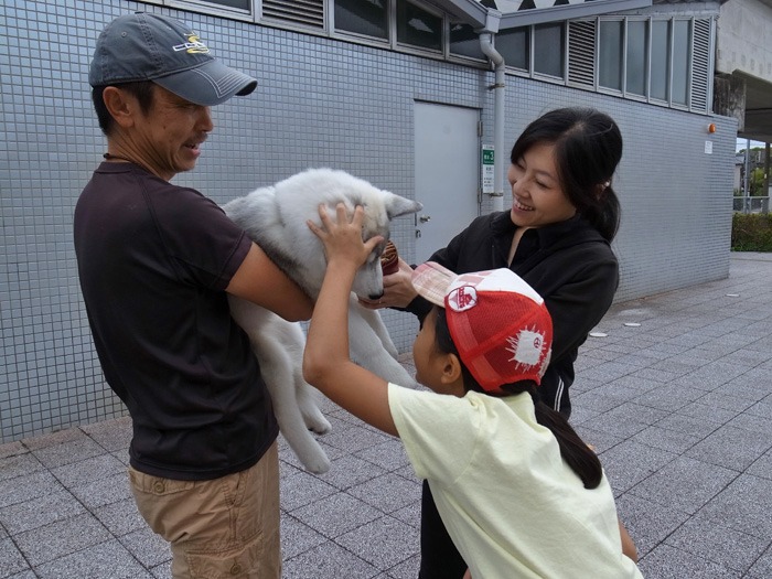 子犬　ご近所さんぽ_c0049299_20143848.jpg