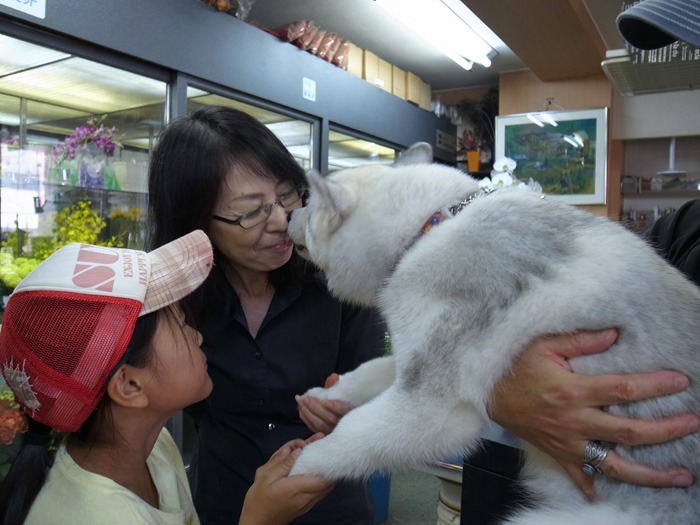 子犬　ご近所さんぽ_c0049299_2023173.jpg