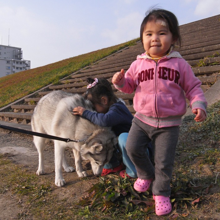 子犬　ご近所さんぽ_c0049299_2082190.jpg