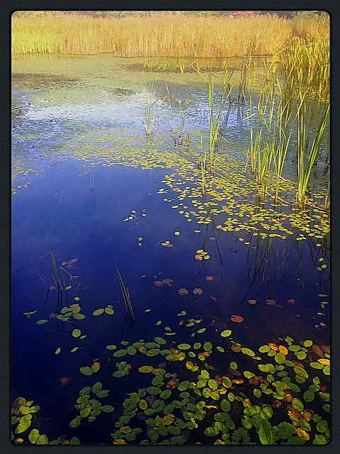 a0237302_16205998.jpg
