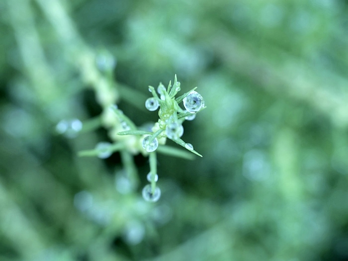 c0187503_21582076.jpg