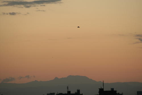 d0119909_18132091.jpg