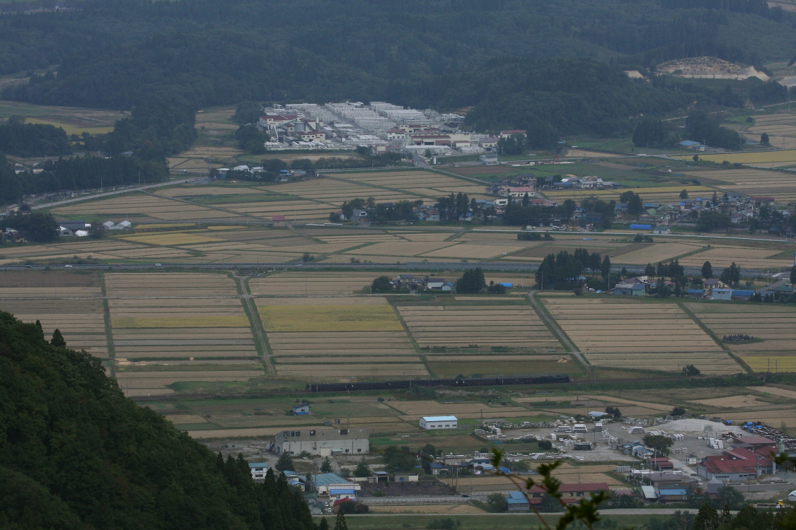 C61の横をこまちが駆け抜けた - 2013年秋・奥羽線 - _b0190710_20395021.jpg
