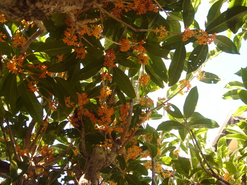 f0276510_1841886.jpg