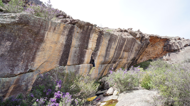 Grampians vol.3_d0183611_2125883.jpg