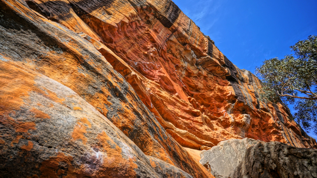 Grampians vol.4_d0183611_22242717.jpg