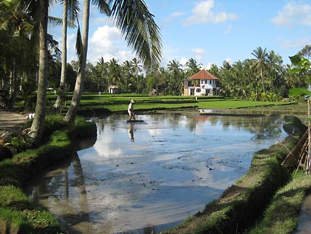 f0032812_10592310.jpg
