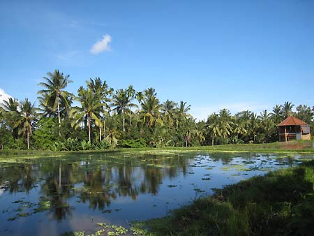 f0032812_11301485.jpg