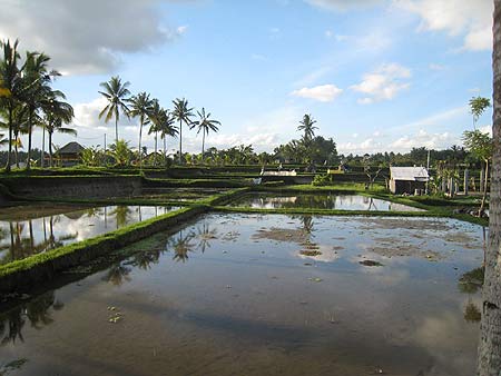 f0032812_11452836.jpg