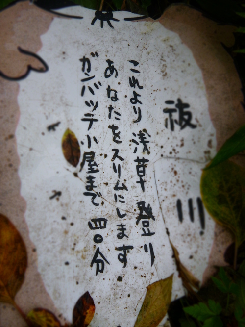 2013.10　八海山登山！_a0236914_1847293.jpg