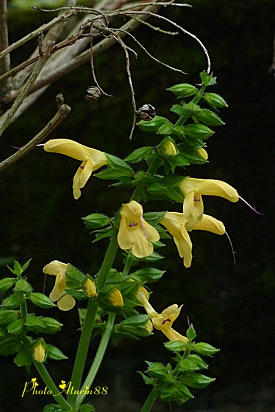 d0025414_23505047.jpg