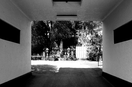 c0168815_20102590.gif