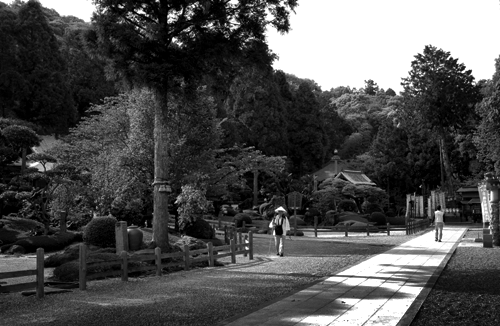 c0168815_20104343.gif