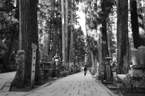 c0168815_20105089.gif