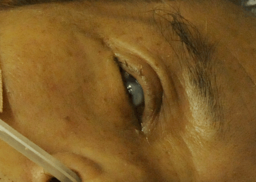 c0168815_20112480.gif