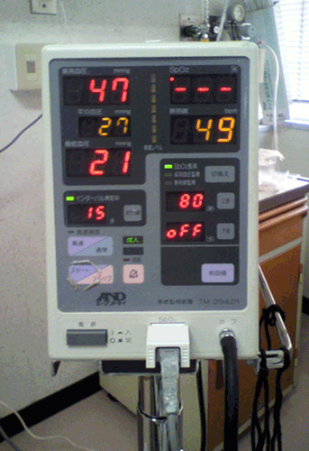 c0168815_2110419.gif