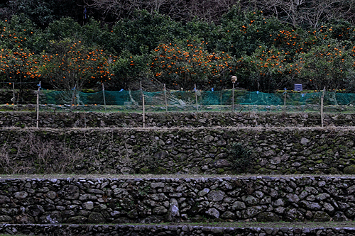 c0168815_21104675.gif