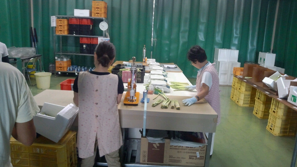 f0142721_1538981.jpg