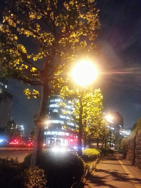c0049825_0561016.jpg