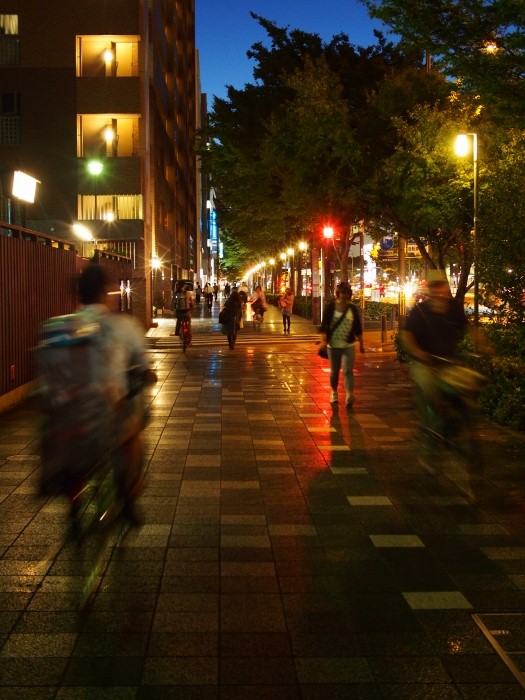 kyoto  oike street_d0266327_12414477.jpg