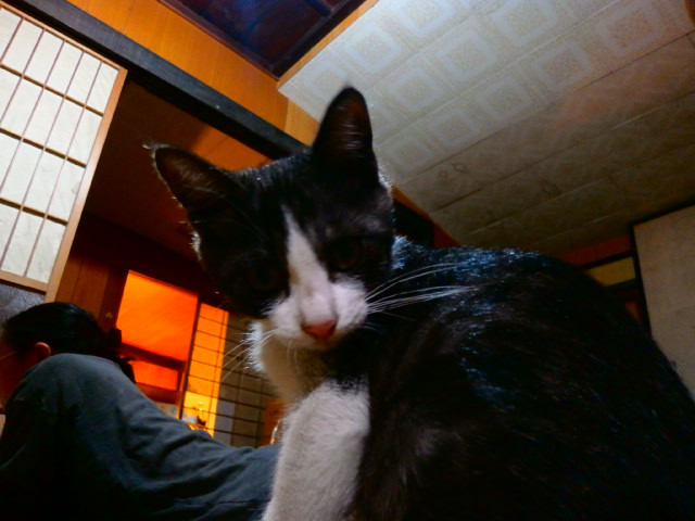 f0289033_19381644.jpg