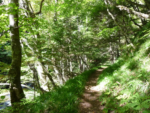 b0298935_17275399.jpg