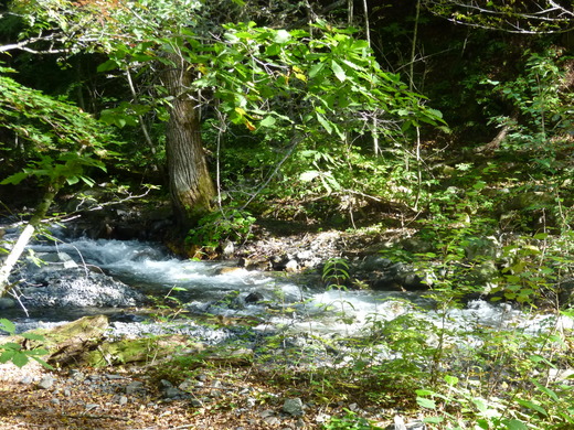 b0298935_17355632.jpg