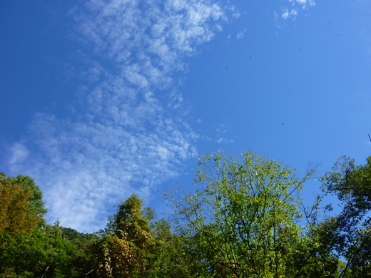 b0298935_1801249.jpg