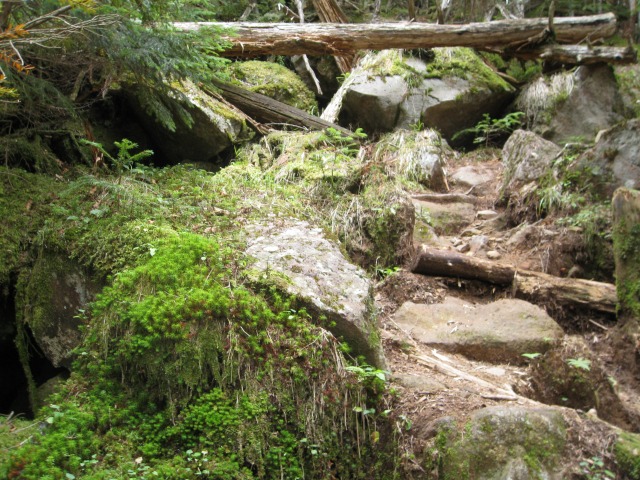 c0090236_13105970.jpg