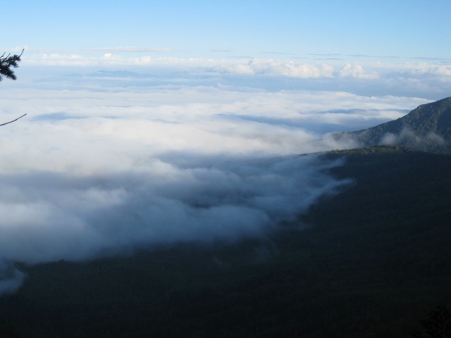 c0090236_13202763.jpg