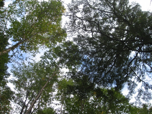 c0090236_1393997.jpg