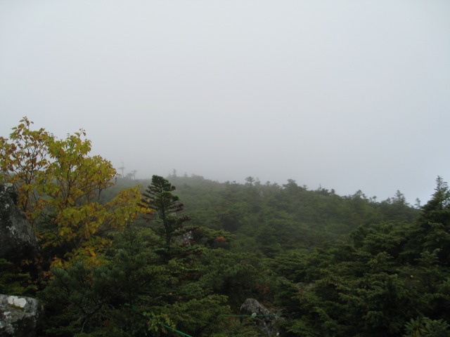 c0090236_1405739.jpg