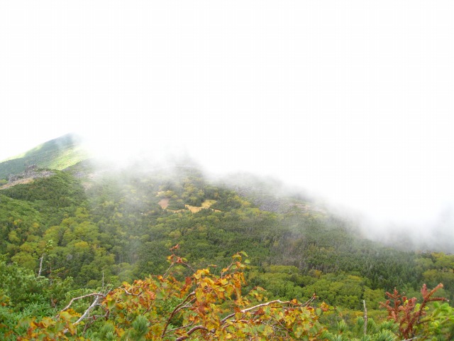c0090236_14155090.jpg
