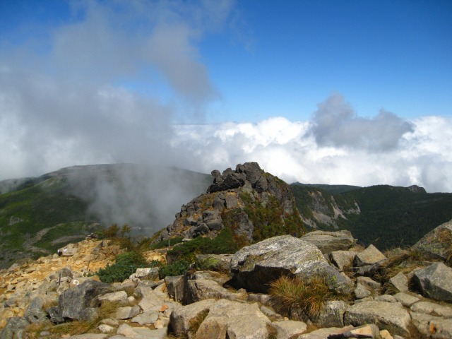 c0090236_1440499.jpg